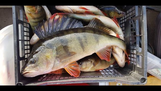 Рыбалка в Карелии. Сентябрь 2019.День 9й и 10й