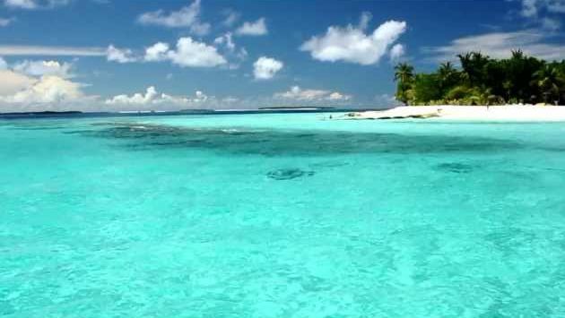 Февраль: Maldives, reethi beach resort