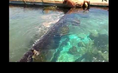 Эйлат август 2011