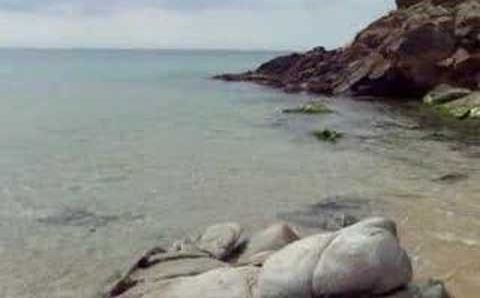 Коста Брава, Июнь: LA FOSCA beach