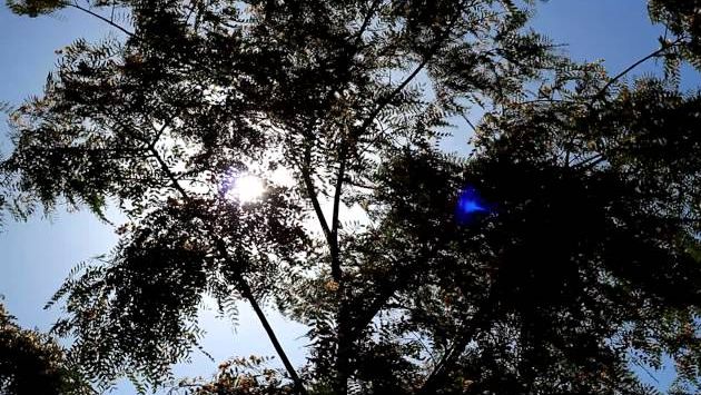 Июнь на Коста Брава: Spain Costa Brava june 2012