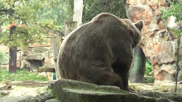 Берлин, Сентябрь: Berlin Zoo September 2010