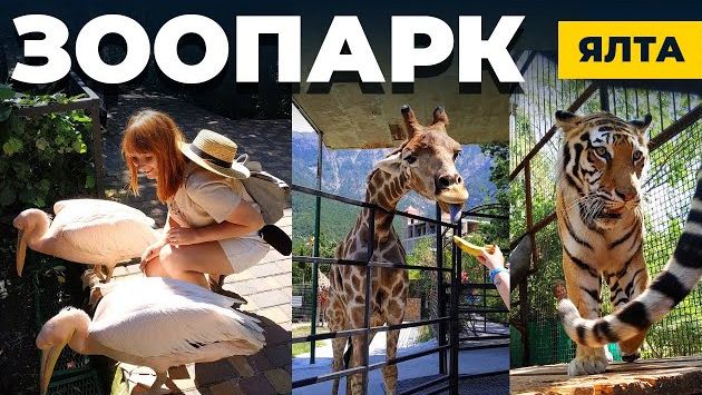 ЯЛТИНСКИЙ ЗООПАРК  |  ЗООПАРК СКАЗКА В ЯЛТЕ  |  ЯЛТА 2020