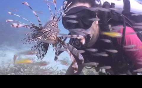 Пхукет, Декабрь: Scuba Diving Racha Yai Aug 2009