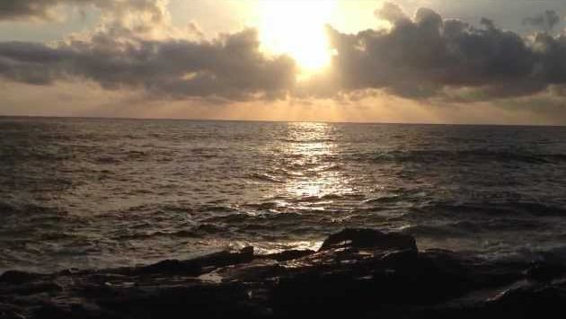 Шри-Ланка.Май 2012