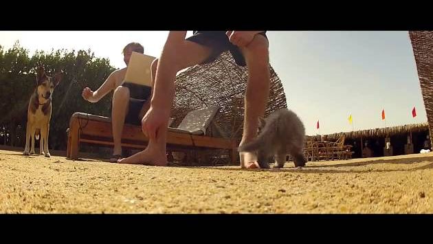 Март: All Foool In El Gouna