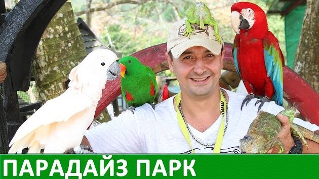 Сентябрь, Самуи: Парадайз парк на Самуи.  Paradise Park Farm Samui