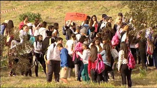 Израиль: KKL-JNF Tu Bishvat Events Around Israel