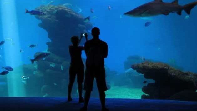 Майорка в декабре: Palma de Mallorca Aquarium
