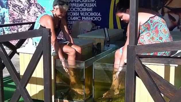 Ейский отдых (сентябрь 2013)