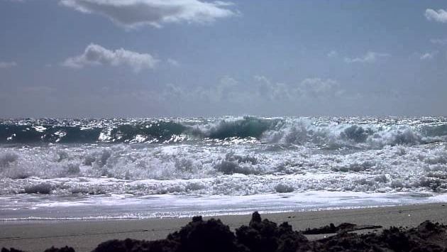 Март, Тенерифе: Diego Hernández Beach, La Caleta, Playa Paraiso, Adeje, Tenerife