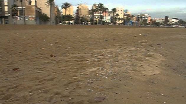 Барселона в декабре: Barcelona beach