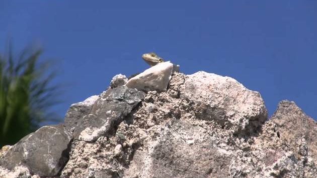 Греция.Остров Кос.(октябрь 2012)