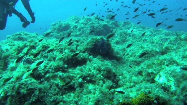 Сентябрь на Сицилии: Diving in San Vito lo Capo, Sicily