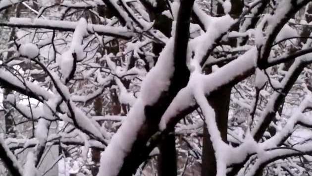 Москва в ноябре: Первый снег. Москва. 28.10.2012г. и ... первая слякоть