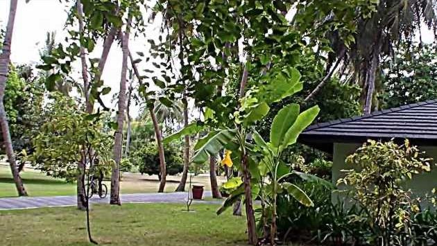 Январь, Мальдивы: мальдивы - рай на земле