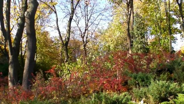 Октябрь в Киеве: Осенний Киев