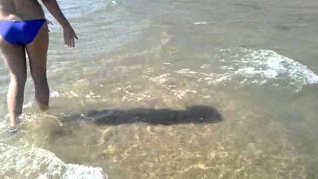 Туапсе: 21 мая 2013 Туапсинский район пляж Орлёнок