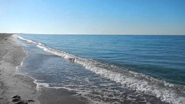 Евпатория , октябрь в Крыму , дельфины