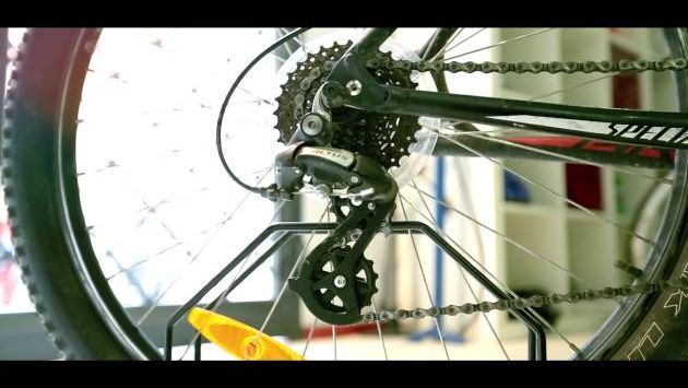 Июнь в Риме: Bike rent Rome Trastevere - Rome for you Spot