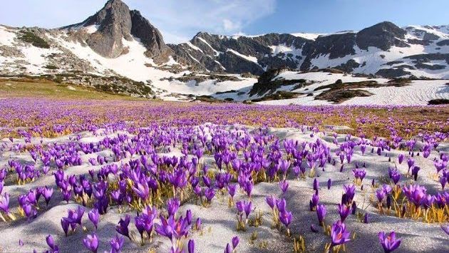 Болгария в марте: Рильский монастырь. Дневник путешествия в Болгарию. День второй.