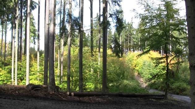 Октябрь в Чехии: Prague, Carlsbad, October 2009