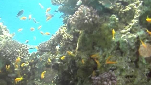 Эйлат в марте: Eilat March 2013