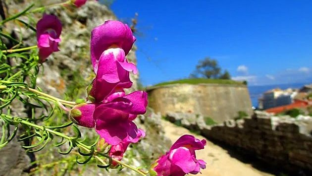 Корфу, Октябрь: October 9th-10th Corfu Greece and then a Day at Sea