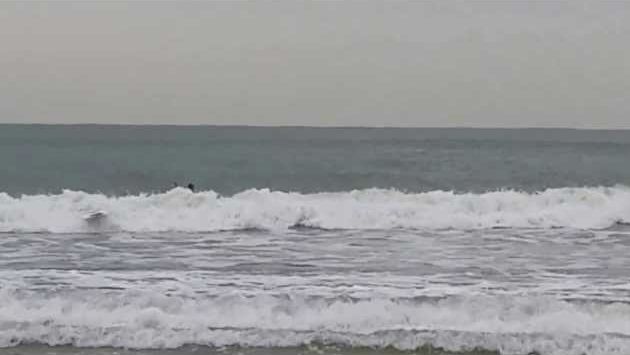 Декабрь, Хайнань: Американские сёрфингисты на Хайнане