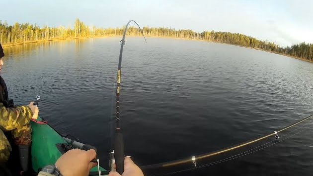 Карелия: Карелия. Лучшая рыбалка осени.