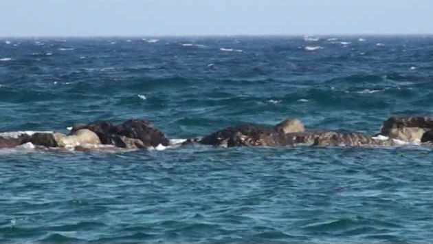 Кипр в июле: КИПР : море и ветер.