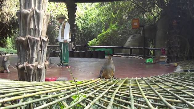 Хайнань в ноябре: Monkey island (Hainan, China)