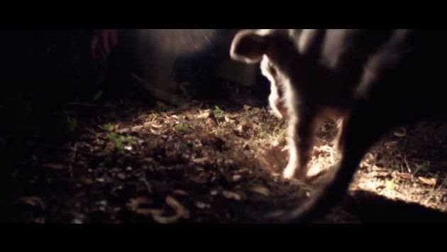 Италия в октябре: Alba International White Truffle Fair 2013 - Fiera Internazionale del Tartufo Bianco d'Alba 2013