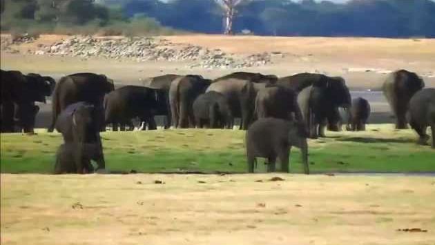 Август: Backpacking Sri Lanka