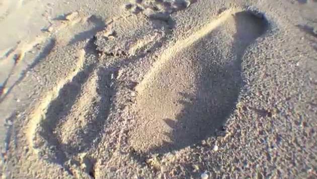 Мальта: We Love MALTA - THE PEARL OF THE MEDITERRANEAN SEA