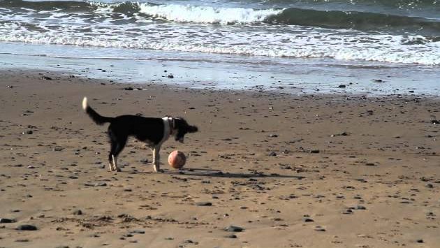 Португалия: Just another January Day...