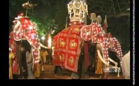 Шри-Ланка: sri lanka Kandy Esala Perahera 2013
