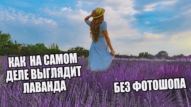 Франция, Июнь: ЧТО ЖДАЛО НАС НА ЛАВАНДОВОМ ПОЛЕ |  ОЖИДАНИЕ - РЕАЛЬНОСТЬ В ПРОВАНСЕ | ВЛОГ