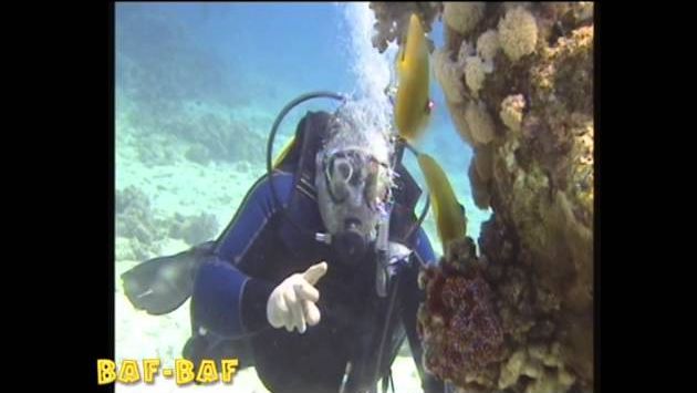 Египет в марте: Hurgada Makadi Bay  March 2014