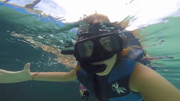 Купание с акулами и скатами в Доминикане