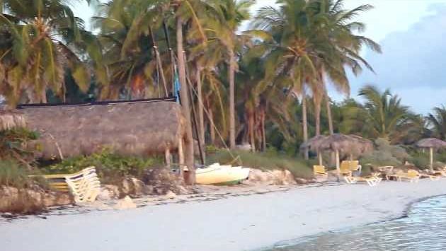 Куба: Cuba, Cayo Guillermo, 6.December 2009, 6:45 am