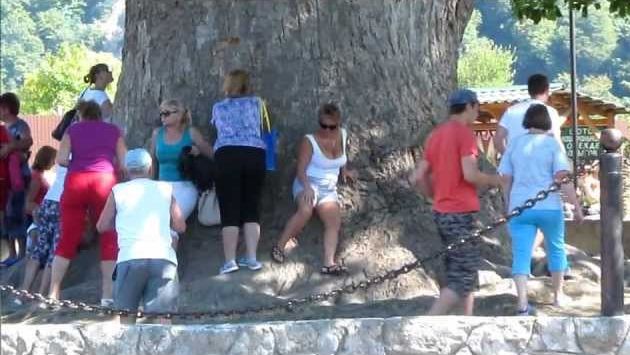 Сочи в августе: Экскурсия 33 водопада