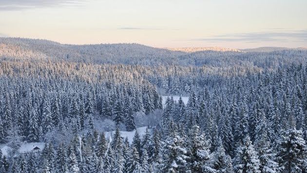 Карелия зимой /январь 2019/