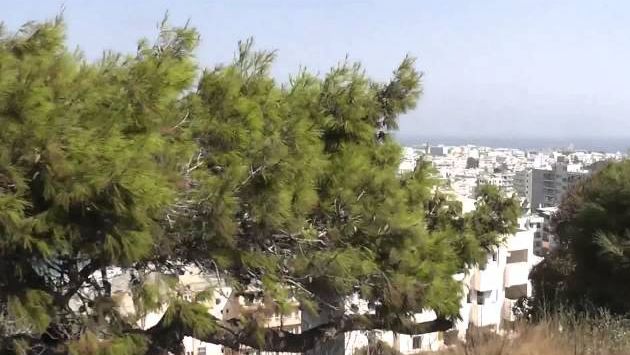 Октябрь: Родос