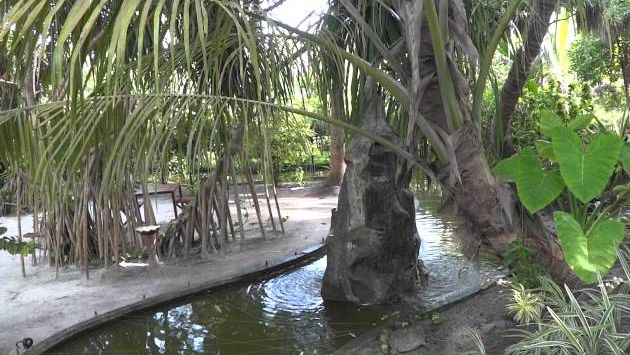 Мальдивы: Мальдивы