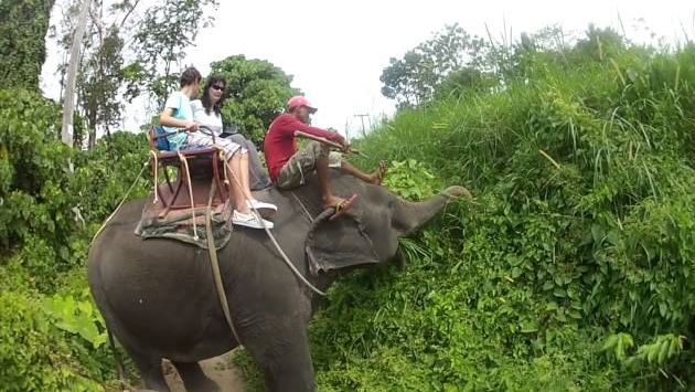 Пхукет в декабре: Travel Buddies: Phuket