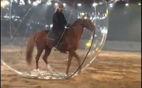 ОАЭ, Апрель: Dubai Int Horse Fair Ceremony