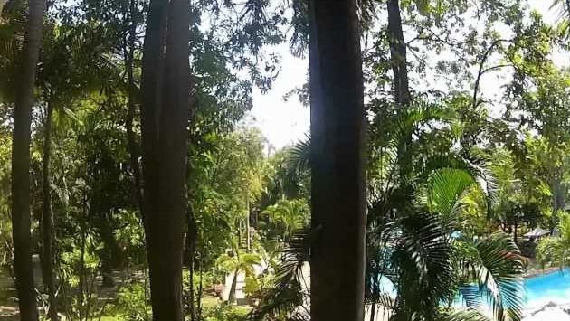 Паттайя в мае: Отдых в Паттайе. 22 мая- 4 июня 2012 года ( 1080 HD).mov