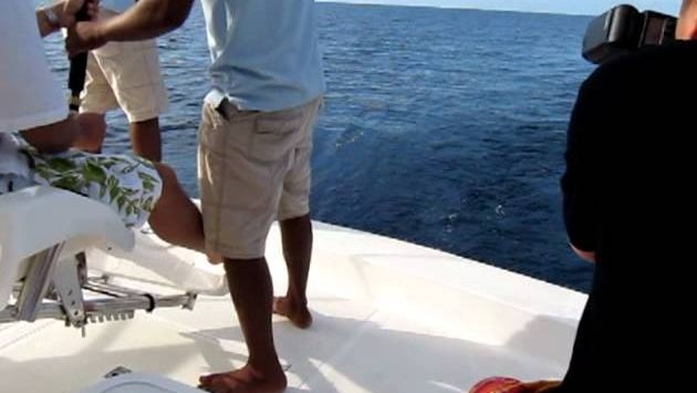 Ноябрь, Мальдивы: Big Game Fishing at Maldives---Anantara