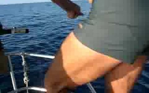 Сицилия: Sicily Travel: Poor Fish - we caught a tuna!